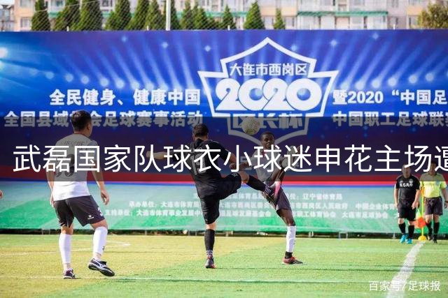 武磊国家队球衣小球迷申花主场遭骚扰 球星团队急寻当事人