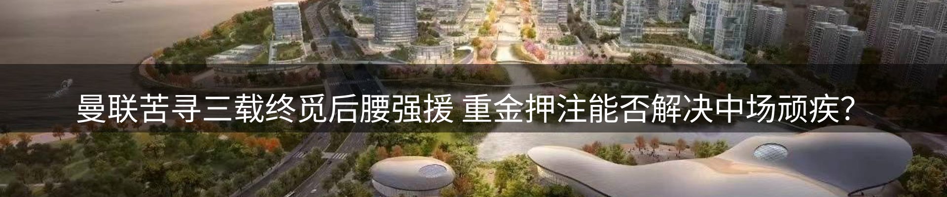 新闻动态