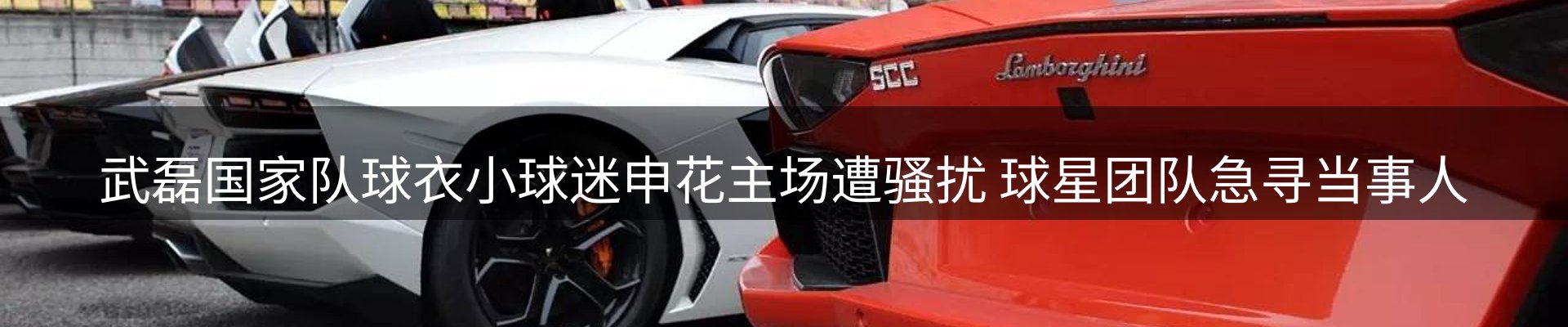 新闻动态