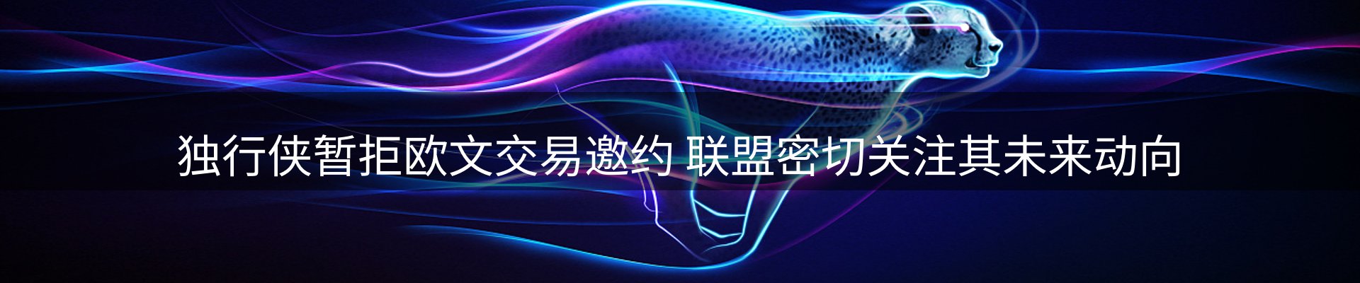 新闻动态